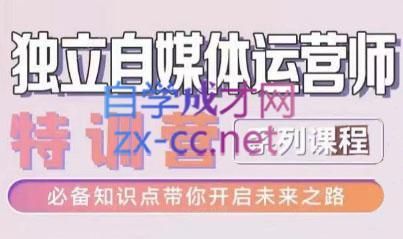 博老师·2024独立自媒体运营师特训营-梦想波浪