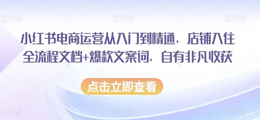 小红书电商运营从入门到精通，店铺入住全流程文档+爆款文案词，自有非凡收获-梦想波浪