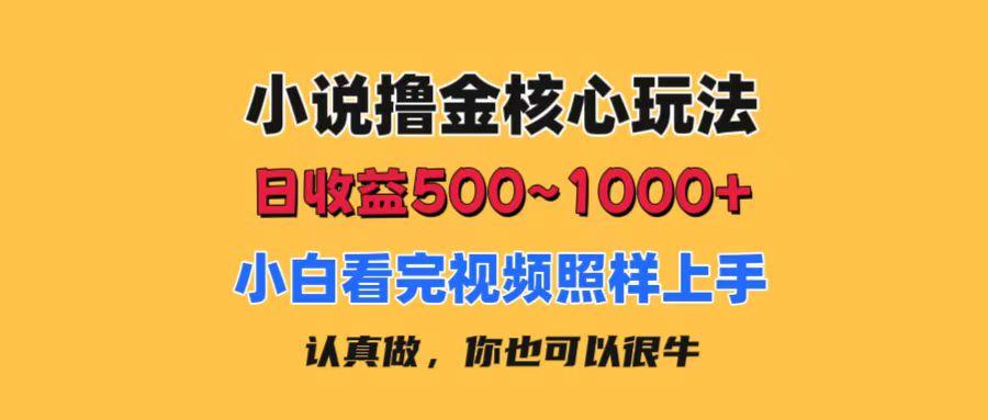 小说撸金核心玩法，日收益500-1000+，小白看完照样上手，0成本有手就行-梦想波浪