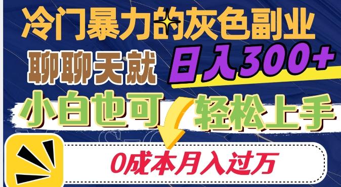 冷门暴利的副业项目，聊聊天就能日入300+，0成本月入过万【揭秘】-梦想波浪