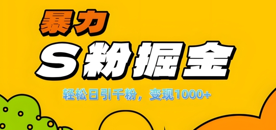 单人单机日引千粉，变现1k+，S粉流量掘金计划攻略【揭秘】-梦想波浪