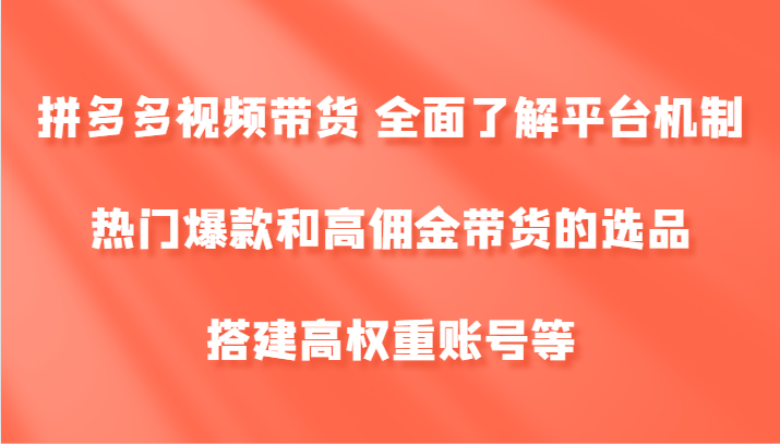 拼多多视频带货 全面了解平台机制、热门爆款和高佣金带货的选品，搭建高权重账号等-梦想波浪