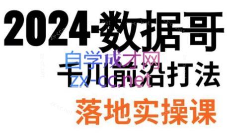 数据哥·2024年千川前沿打法落地实操课-梦想波浪