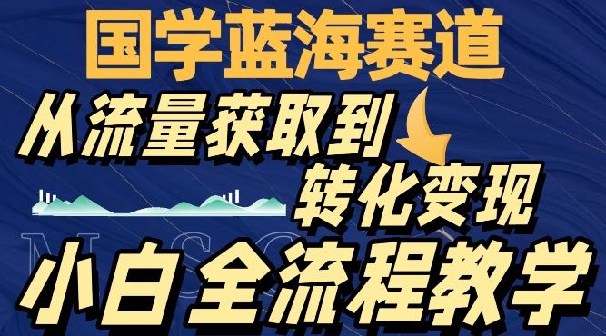 国学蓝海赛道，从流量获取，到转化变现，全流程教学-梦想波浪