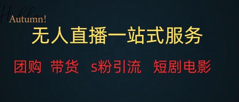 无人直播一站式服务（教程以及变现方式）-梦想波浪