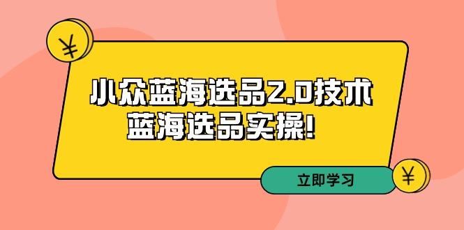 拼多多培训第33期：小众蓝海选品2.0技术-蓝海选品实操！-梦想波浪
