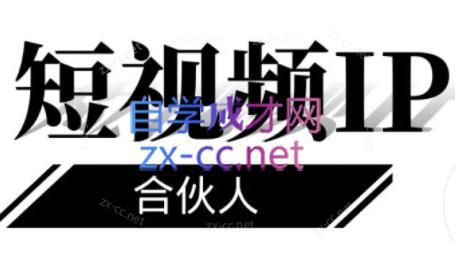 铭则老师·短视频IP合伙人(更新24年)-梦想波浪