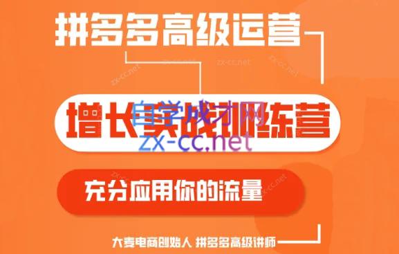 大麦老师·拼多多单品爆款打造课程(更新6月)-梦想波浪