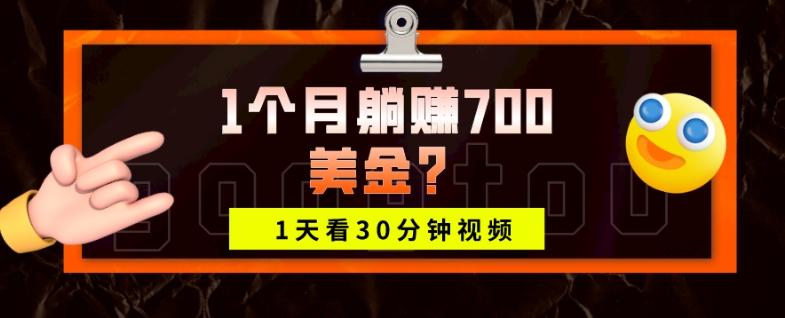1天看30分钟视频，1个月躺赚700美金？-梦想波浪