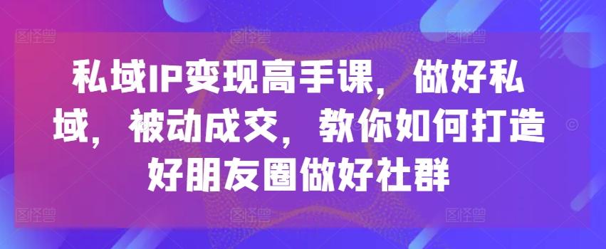 私域IP变现高手课，做好私域，被动成交，教你如何打造好朋友圈做好社群-梦想波浪
