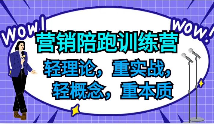 营销陪跑训练营，轻理论，重实战，轻概念，重本质，适合中小企业和初创企业的老板-梦想波浪