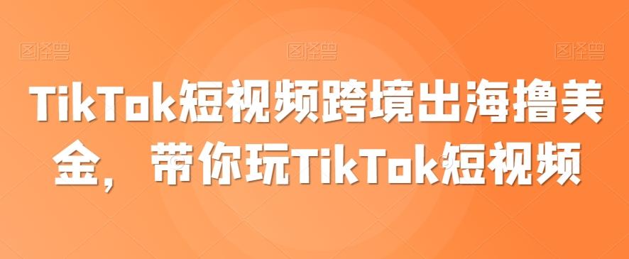 TikTok短视频跨境出海撸美金,带你玩TikTok短视频-梦想波浪