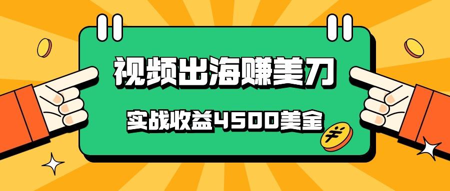 国内爆款视频出海赚美刀，实战收益4500美金，批量无脑搬运，无需经验直接上手-梦想波浪