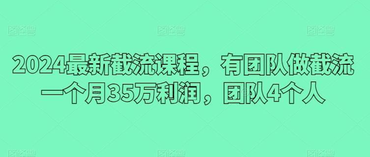 2024最新截流课程，有团队做截流一个月35万利润，团队4个人-梦想波浪