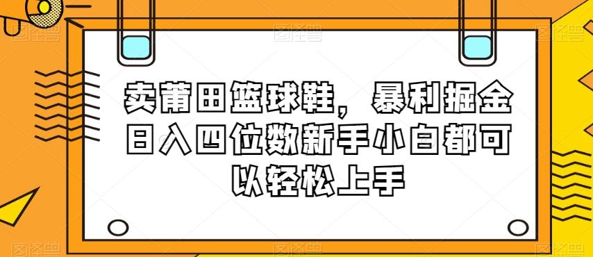 卖莆田篮球鞋，暴利掘金日入四位数新手小白都可以轻松上手【揭秘】-梦想波浪