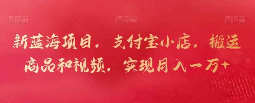 新蓝海项目，支付宝小店，搬运商品和视频，实现月入一万+【揭秘】-梦想波浪
