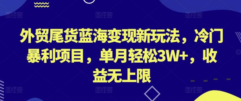 外贸尾货蓝海变现新玩法，冷门暴利项目，单月轻松3W+，收益无上限【揭秘】-梦想波浪