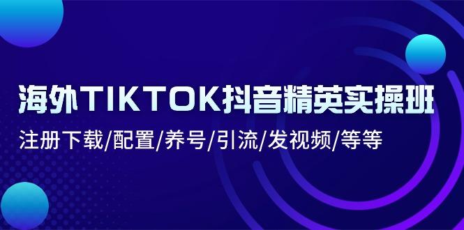 海外TIKTOK抖音精英实操班：注册下载/配置/养号/引流/发视频/等等-梦想波浪