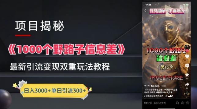 一千个野路子信息差最新玩法教程-变现+引流的玩法具体拆解【揭秘】-梦想波浪