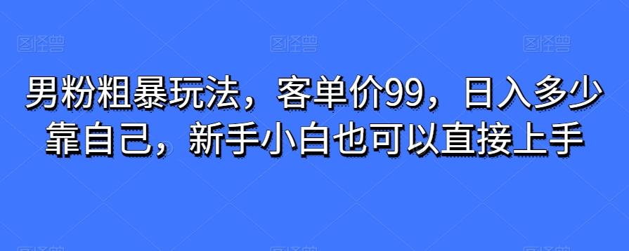 男粉粗暴玩法,客单价99,日入多少靠自己,新手小白也可以直接上手