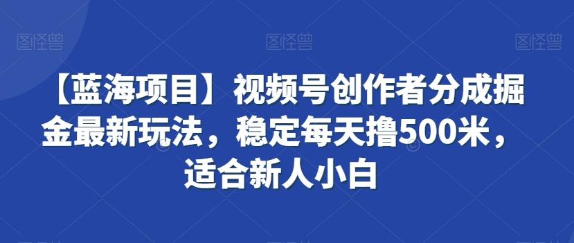 【蓝海项目】视频号创作者分成掘金最新玩法，稳定每天撸500米，适合新人小白【揭秘】-梦想波浪