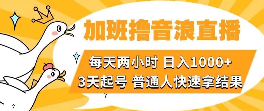 加班撸音浪直播,每天两小时,日入1000+,直播话术才3句,3天起号,普通人快速拿结果【揭秘】-梦想波浪