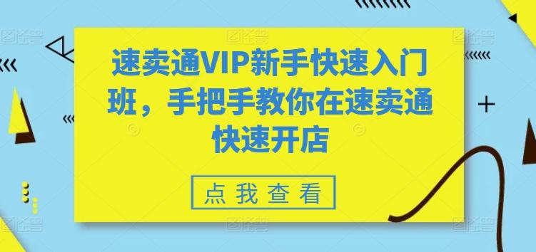 速卖通VIP新手快速入门班，手把手教你在速卖通快速开店-梦想波浪
