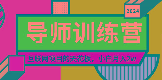 《导师训练营》精准粉丝引流的天花板，小白月入2w-梦想波浪