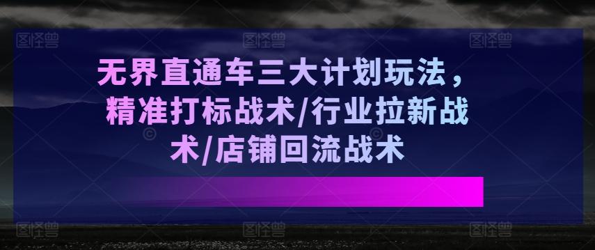 无界直通车三大计划玩法，精准打标战术/行业拉新战术/店铺回流战术-梦想波浪
