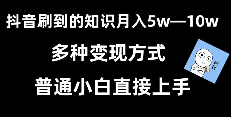 抖音刷到的知识，每天只需2小时，日入2000+，暴力变现，普通小白直接上手【揭秘】-梦想波浪
