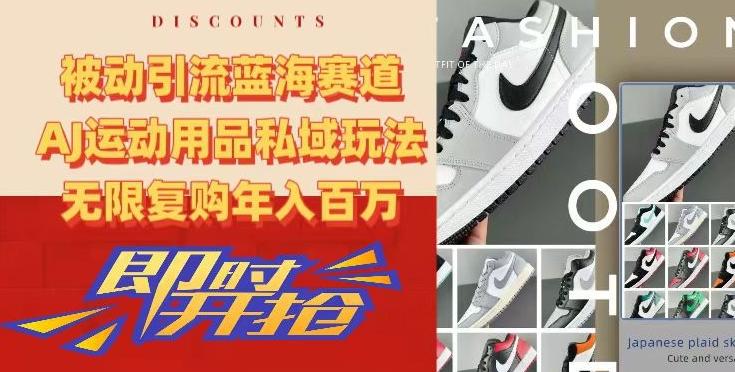 被动引流蓝海赛道，AJ运动用品私域玩法，无限复购年入百万【揭秘】-梦想波浪