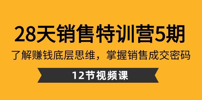 28天销售特训营5期：了解赚钱底层思维，掌握销售成交密码（12节课）-梦想波浪