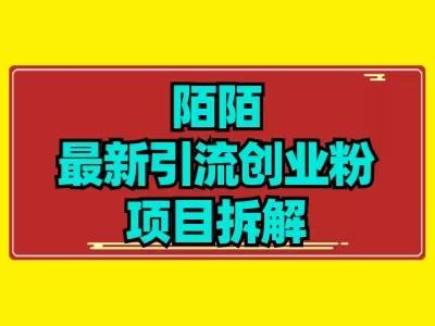 最新陌默引流精准粉项目拆解-梦想波浪