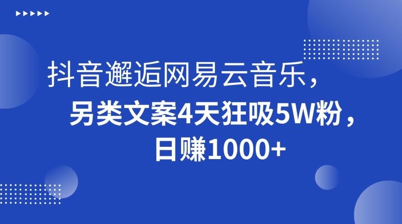 抖音邂逅网易云音乐,另类文案4天狂吸5W粉,日赚1000+【揭秘】-梦想波浪
