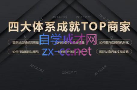 华曜·阿里巴巴国际站认知及直通车实操课程-梦想波浪