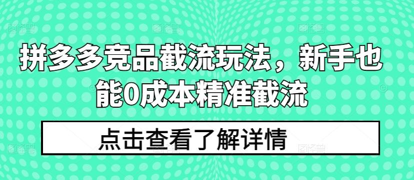 拼多多竞品截流玩法,新手也能0成本精准截流-梦想波浪