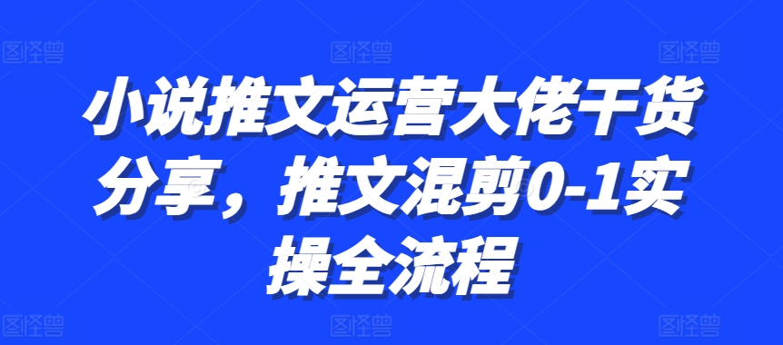 小说推文运营大佬干货分享，推文混剪0-1实操全流程-梦想波浪
