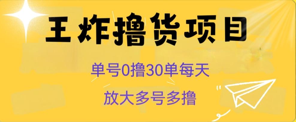 王炸撸货项目，单号0撸30单每天，多号多撸【揭秘】-梦想波浪