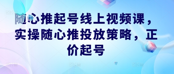 随心推起号线上视频课，实操随心推投放策略，正价起号-梦想波浪
