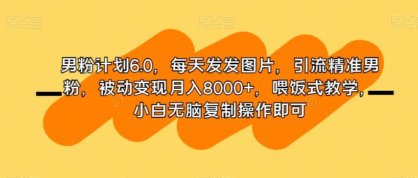 男粉计划6.0，每天发发图片，引流精准男粉，被动变现月入8000+，喂饭式教学，小白无脑复制操作即可-梦想波浪
