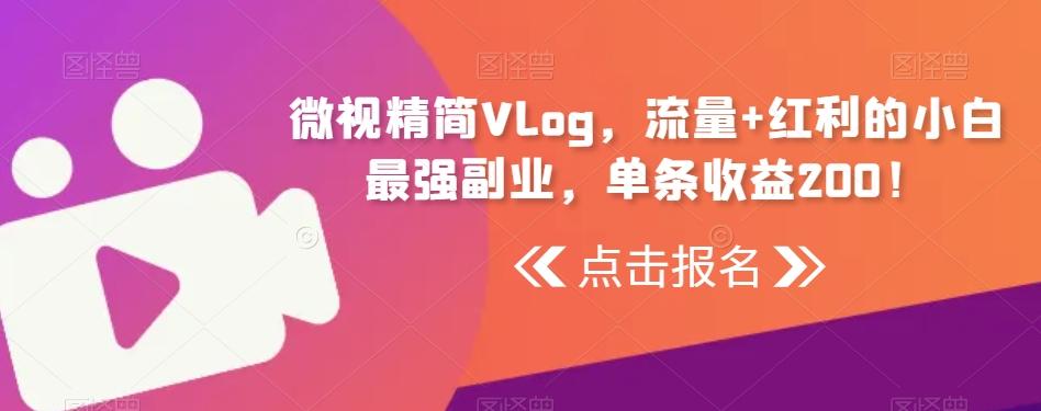 微视精简Vlog，流量+红利的小白最强副业，单条收益200！-梦想波浪