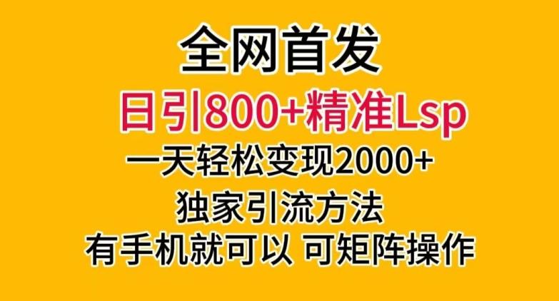 全网首发!日引800+精准老色批,一天变现2000+,独家引流方法,可矩阵操作【揭秘】-梦想波浪