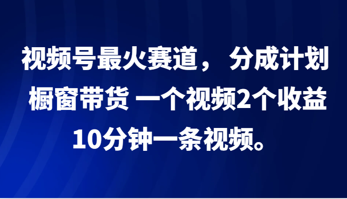 视频号最火赛道， 分成计划， 橱窗带货，一个视频2个收益，10分钟一条视频。-梦想波浪