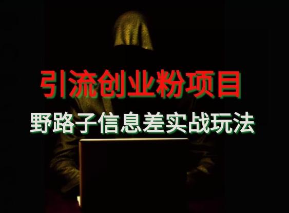 【引流创业粉】野路子信息差玩法实战教学-梦想波浪