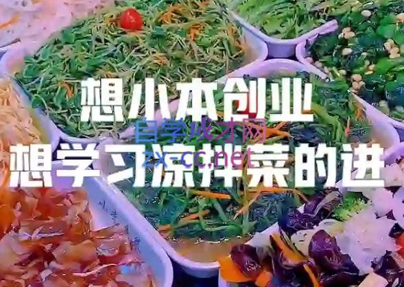 李记·精品凉拌菜系列热卤系列教程-梦想波浪