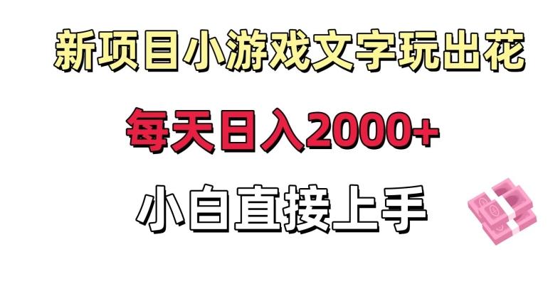新项目小游戏文字玩出花日入2000+，每天只需一小时，小白直接上手【揭秘】-梦想波浪
