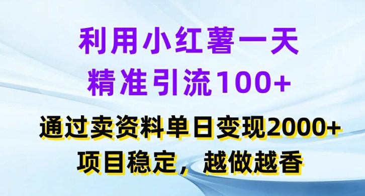 利用小红书一天精准引流100+，通过卖项目单日变现2k+，项目稳定，越做越香【揭秘】-梦想波浪