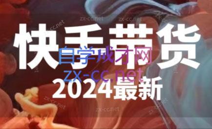 快手带货(2024最新)-梦想波浪