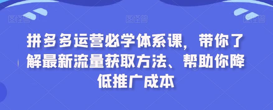 拼多多运营必学体系课，带你了解最新流量获取方法、帮助你降低推广成本-梦想波浪