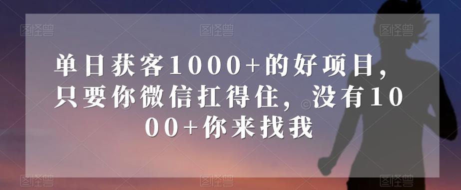 单日获客1000+的好项目，只要你微信扛得住，没有1000+你来找我【揭秘】-梦想波浪